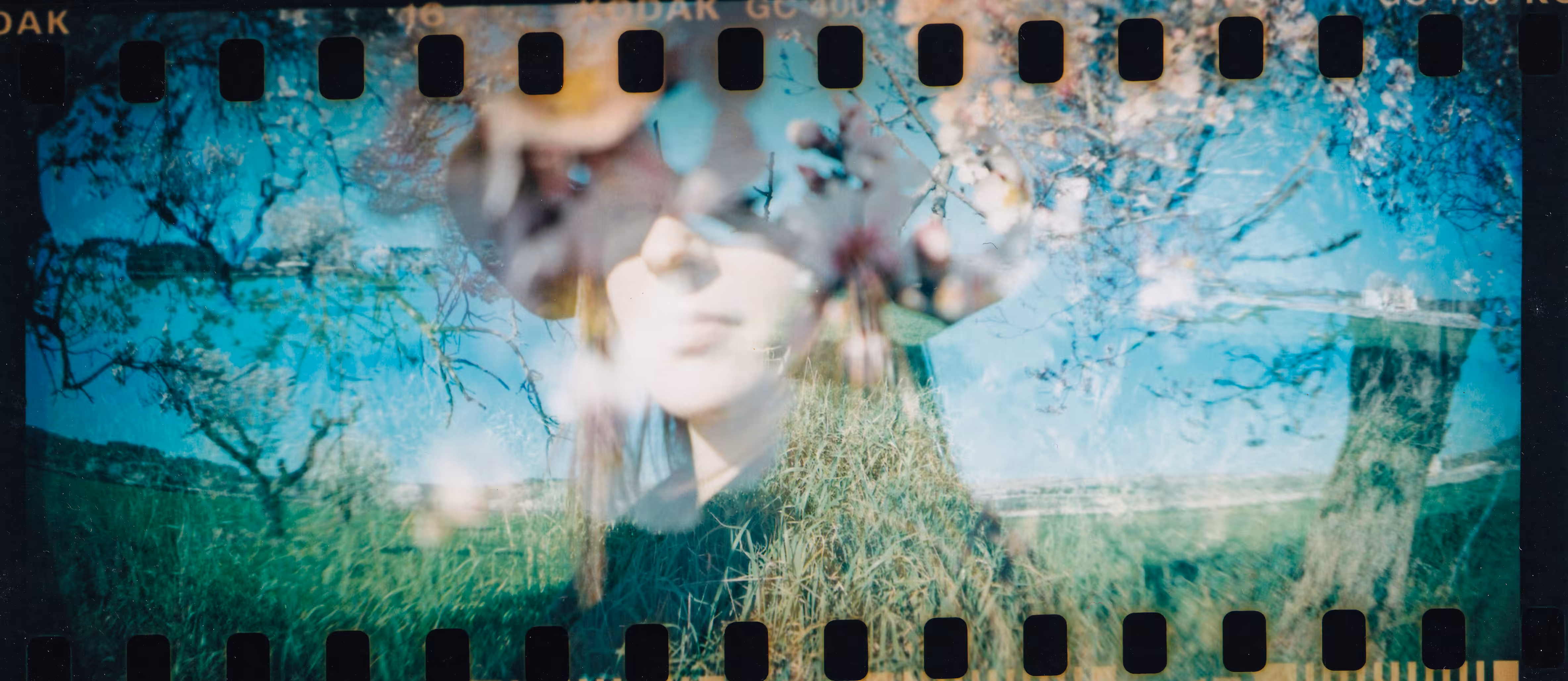 Between Blossoms and Memory