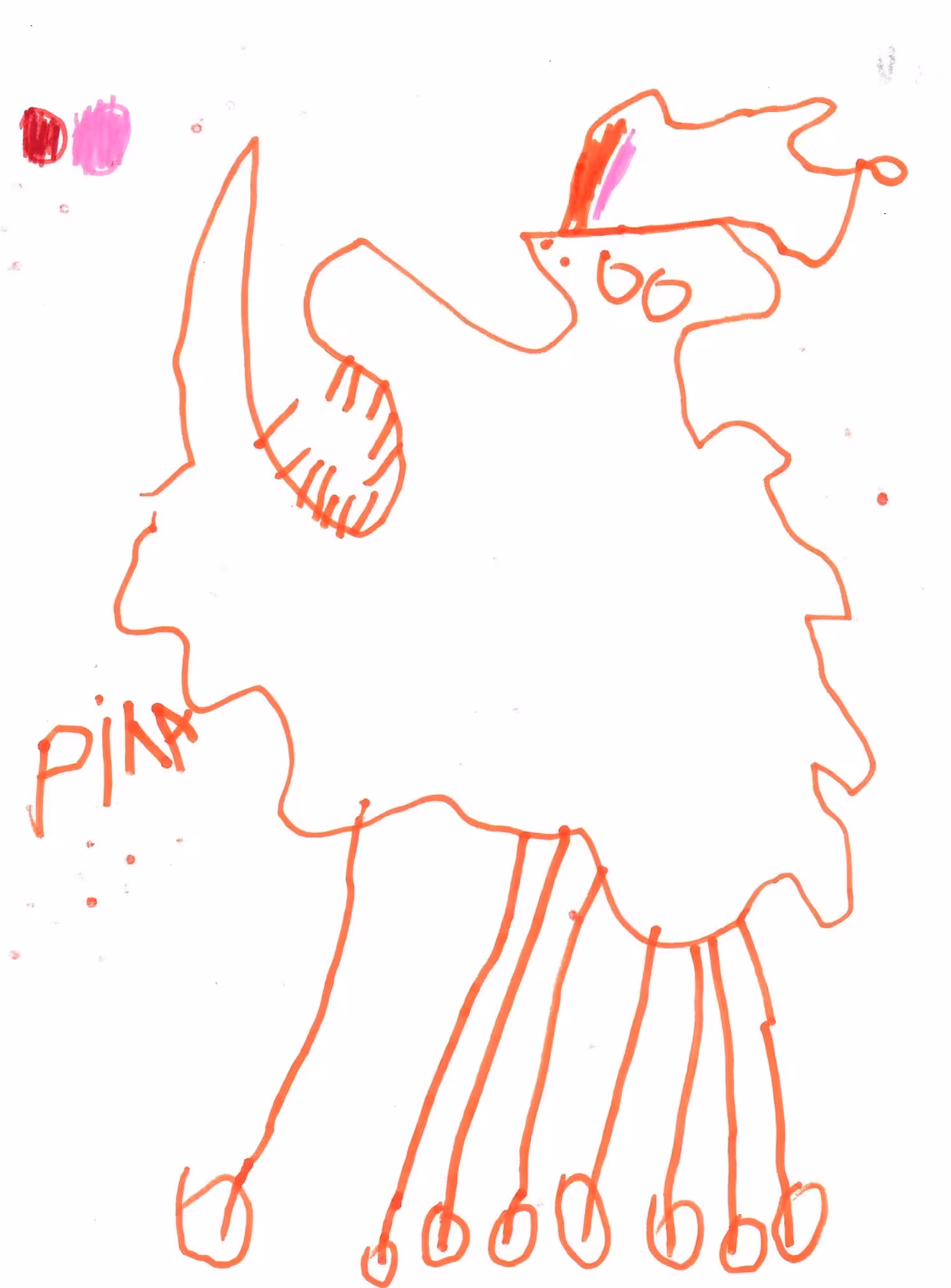 Pita