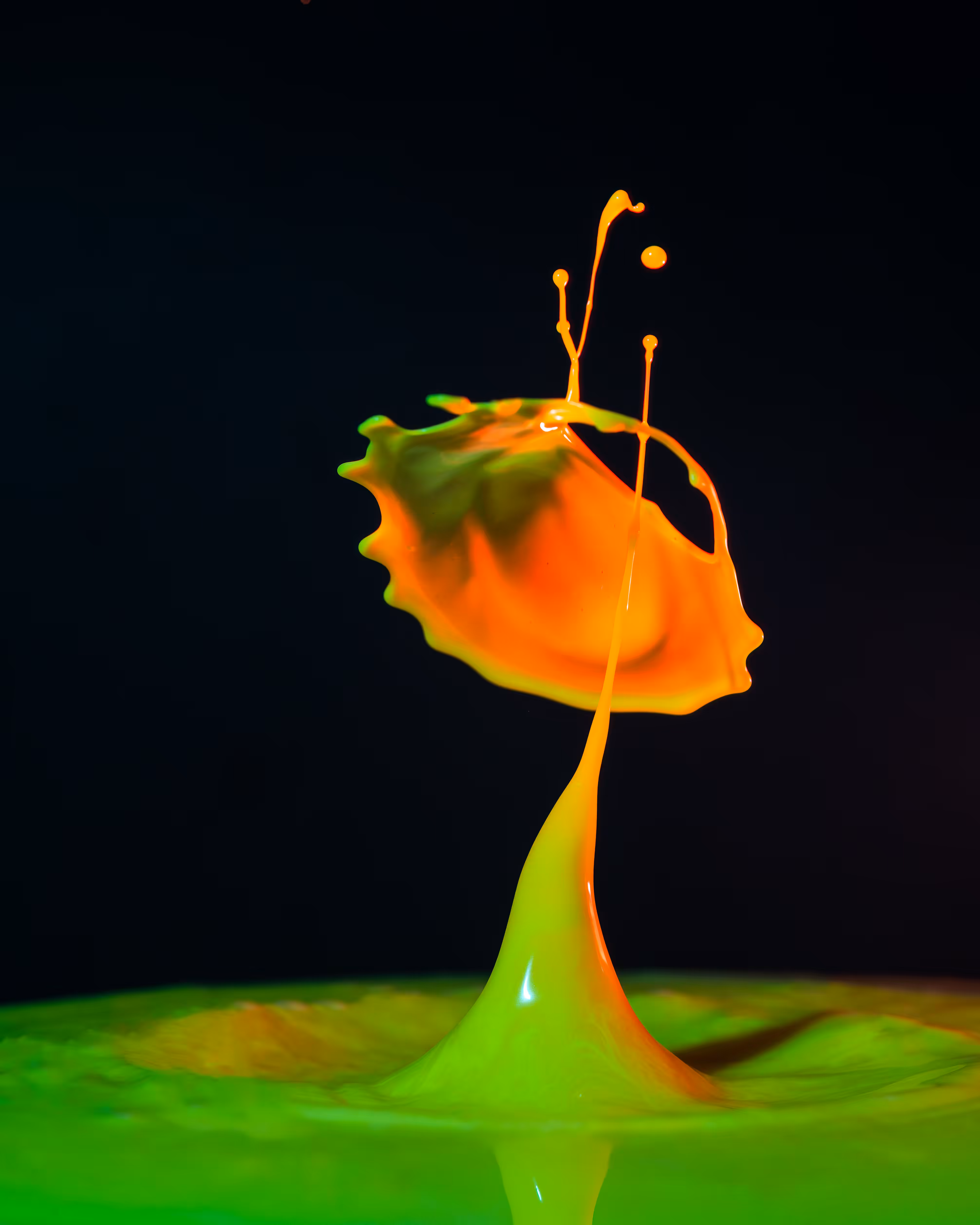 Splash of Colour #1