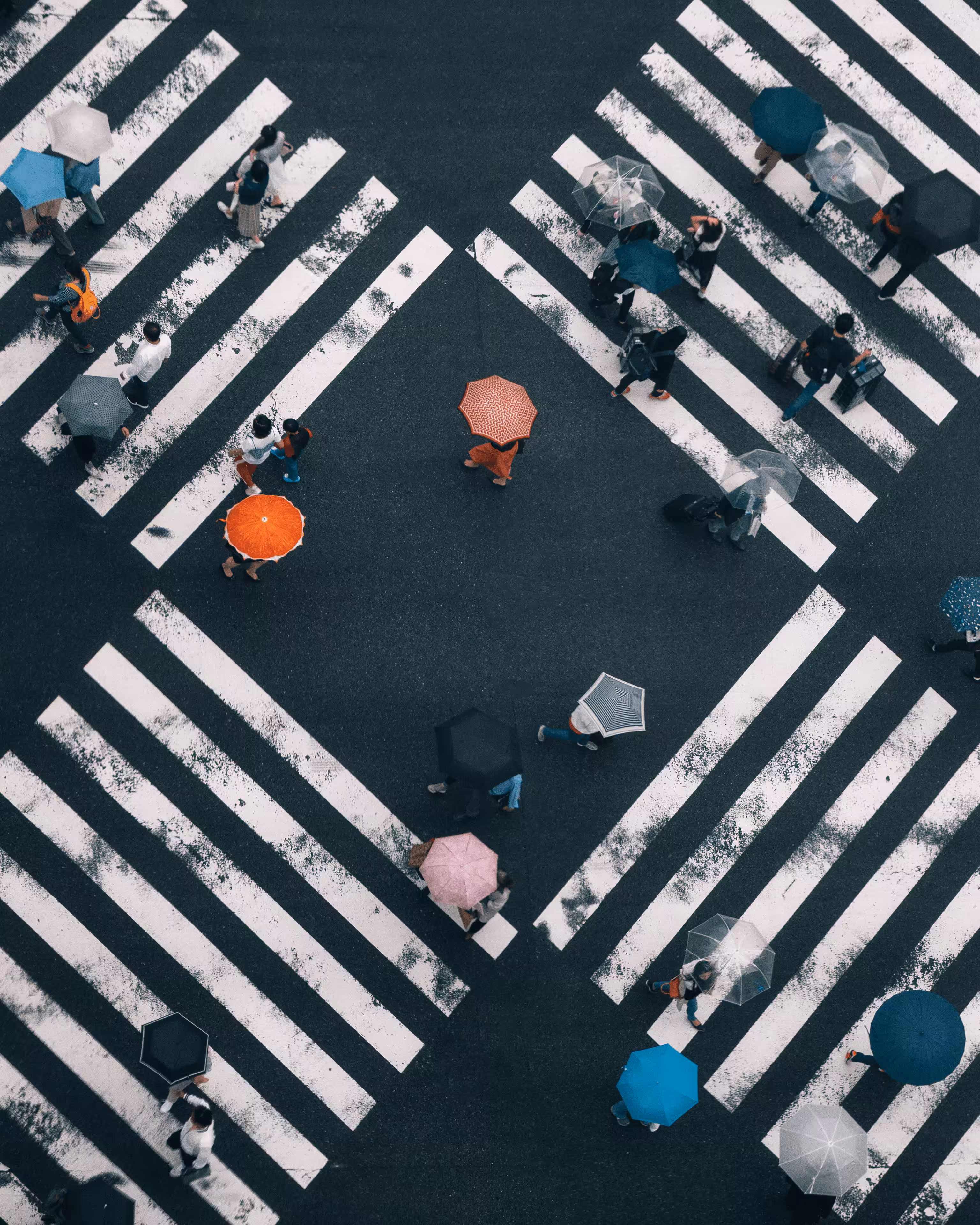 Shapes of Japan #4