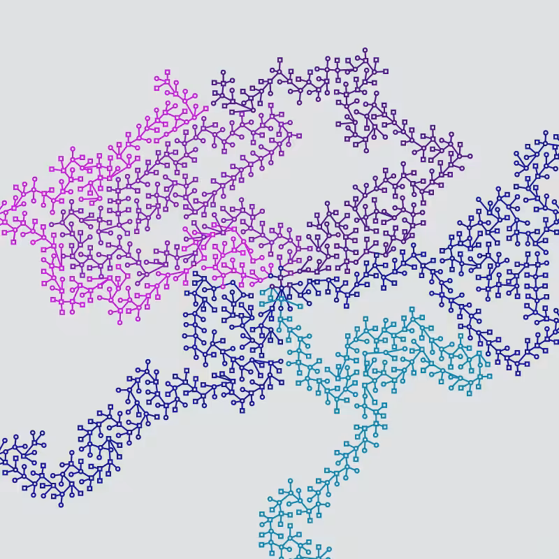 Networks #15