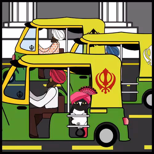 Ninjacat Takes an Autorickshaw