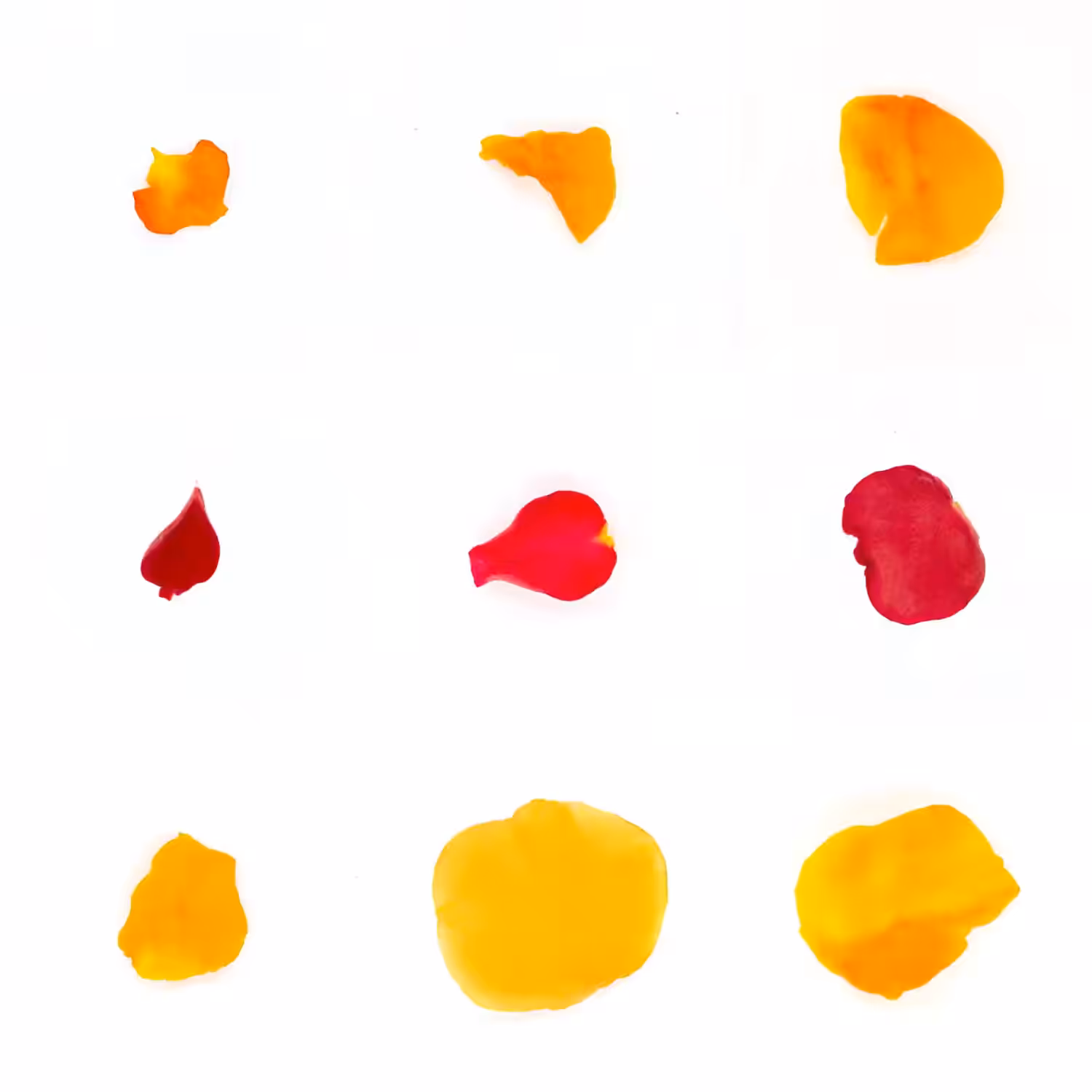 Infinite Petals 3x3#3274