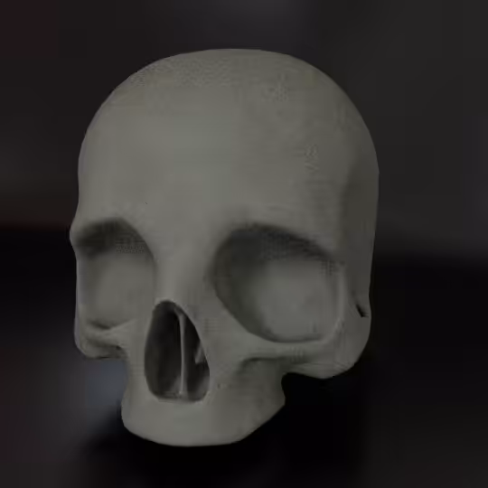 SkullZ #153