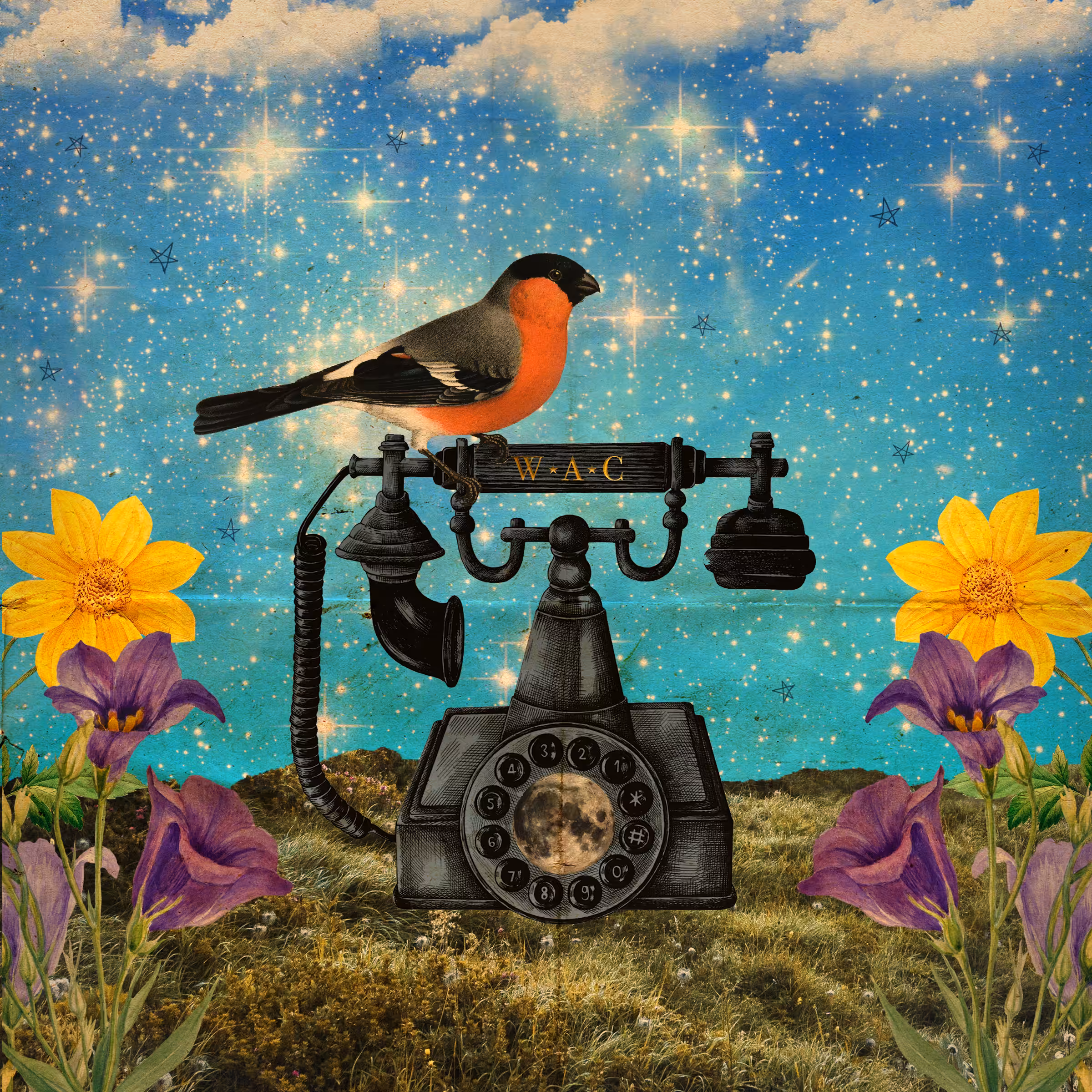 Jolene Casko Surreal Open Editions: Calling