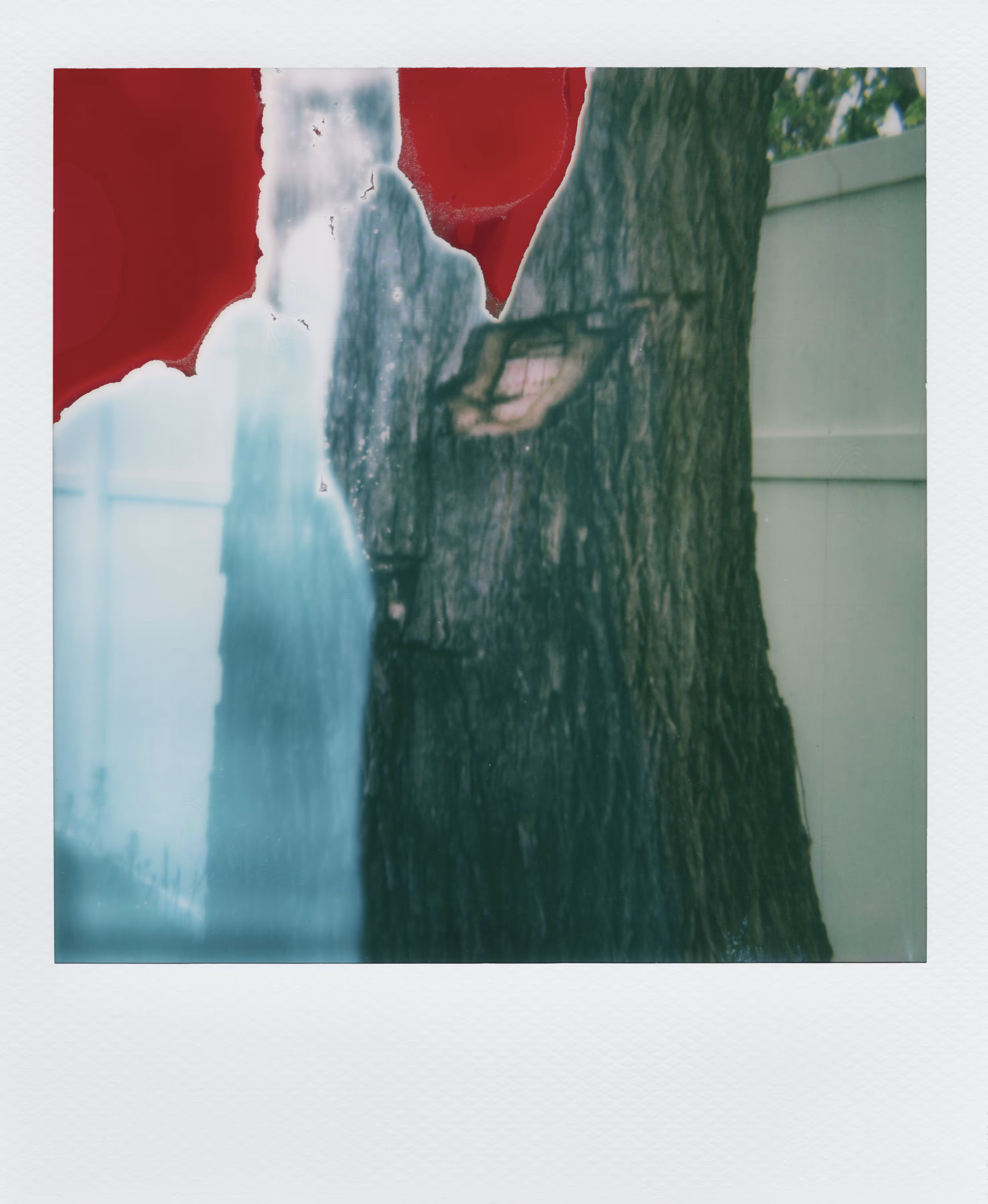 YRDGZ_Polaroid/11