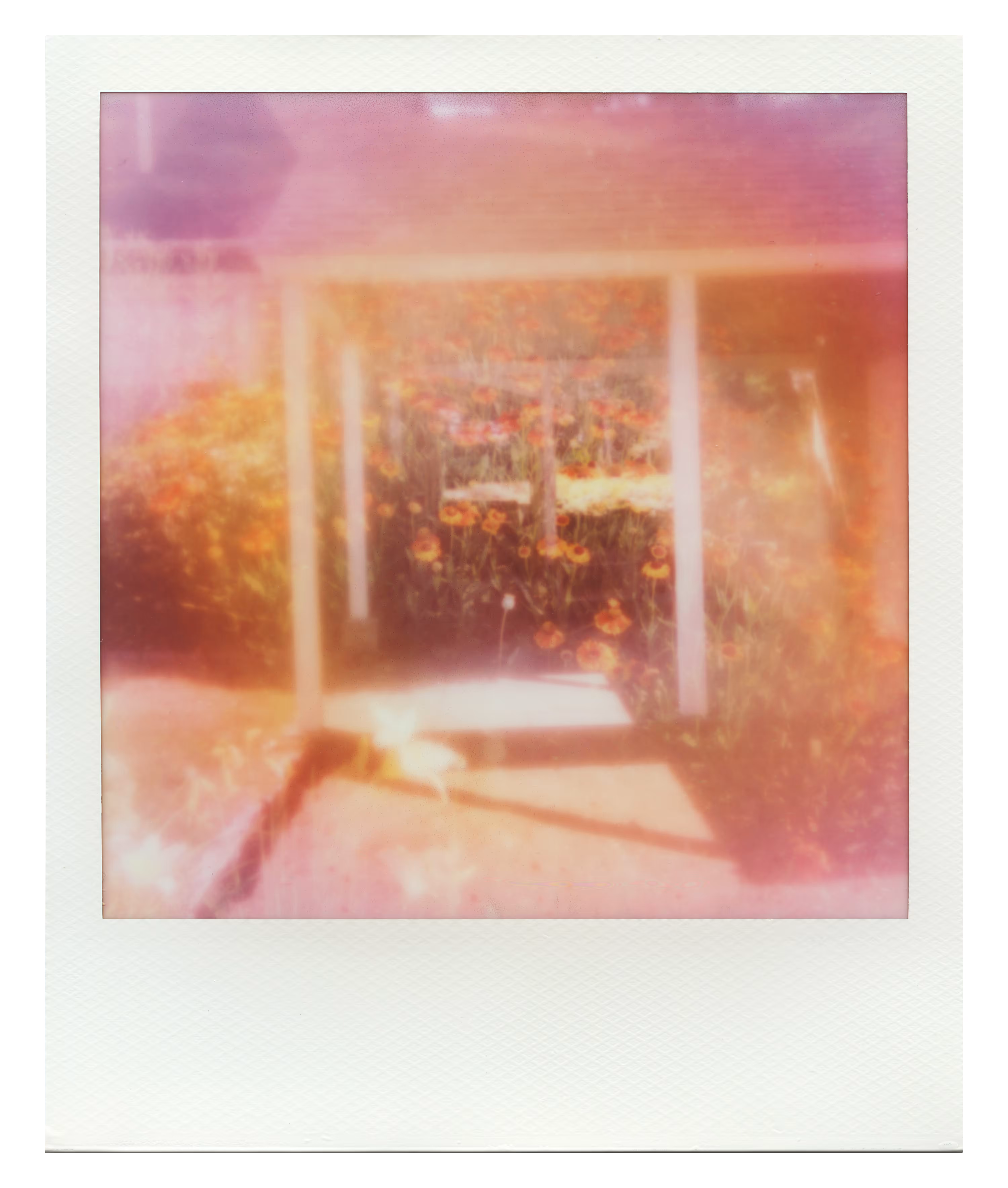 Endless Summer  |  14  | Manifestation