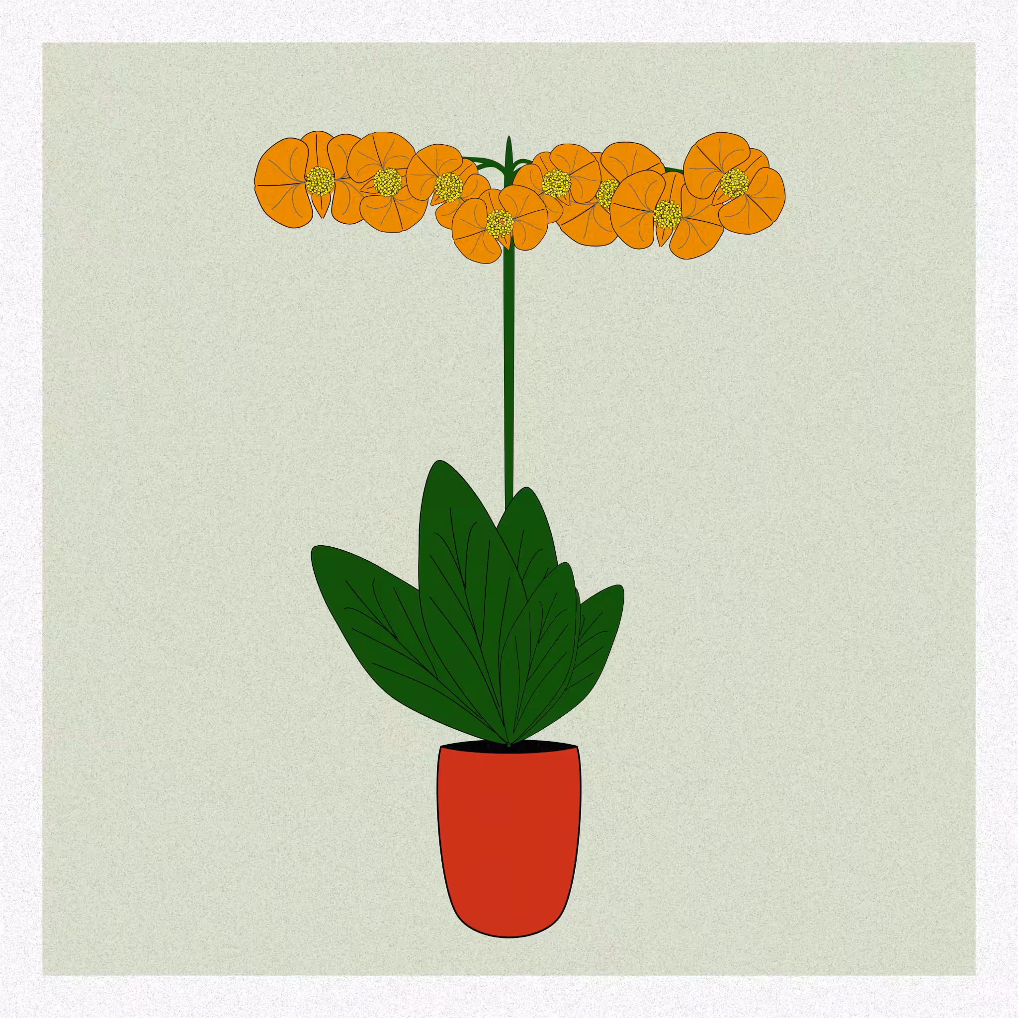 Flowers #64