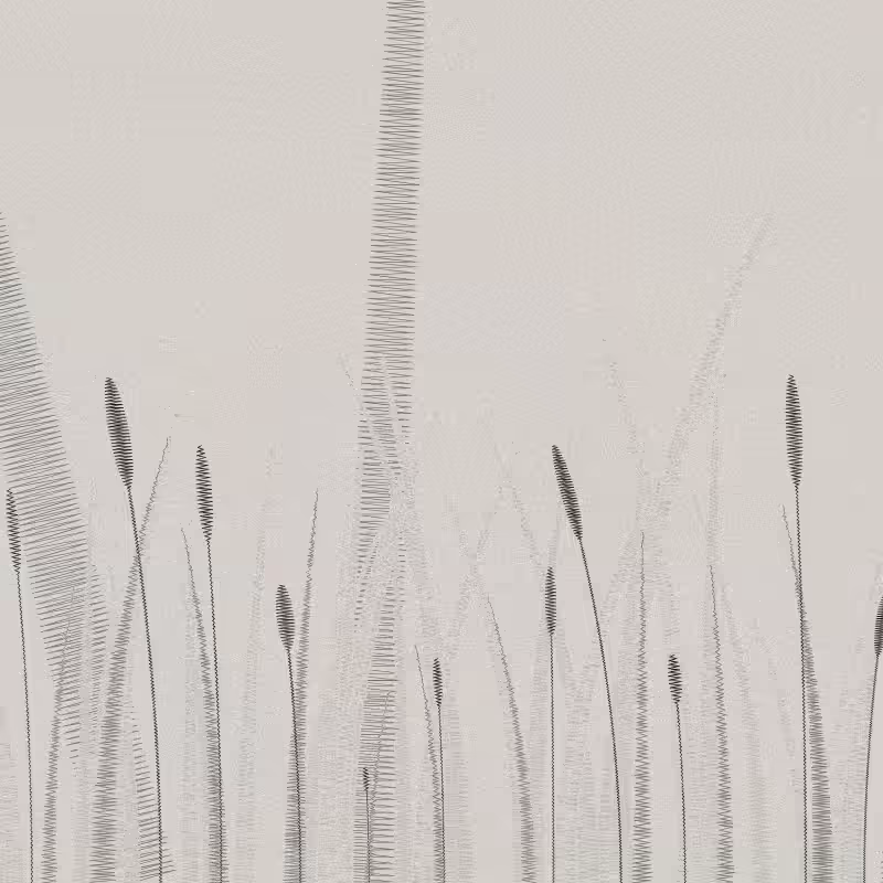 ZigZag Garden #52