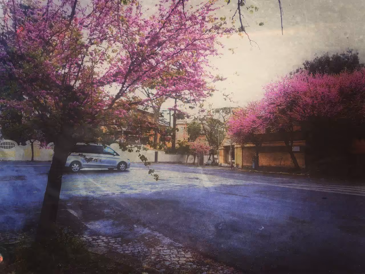 Pinky Rain