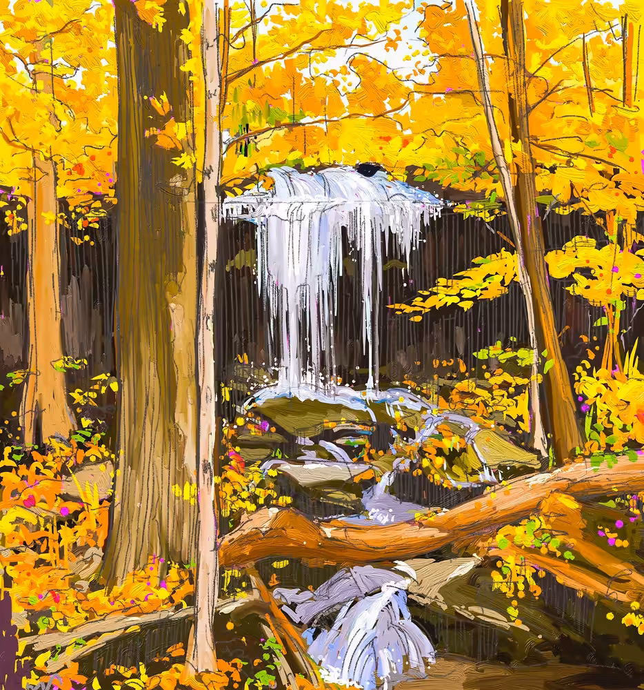 Falling  Water Forest