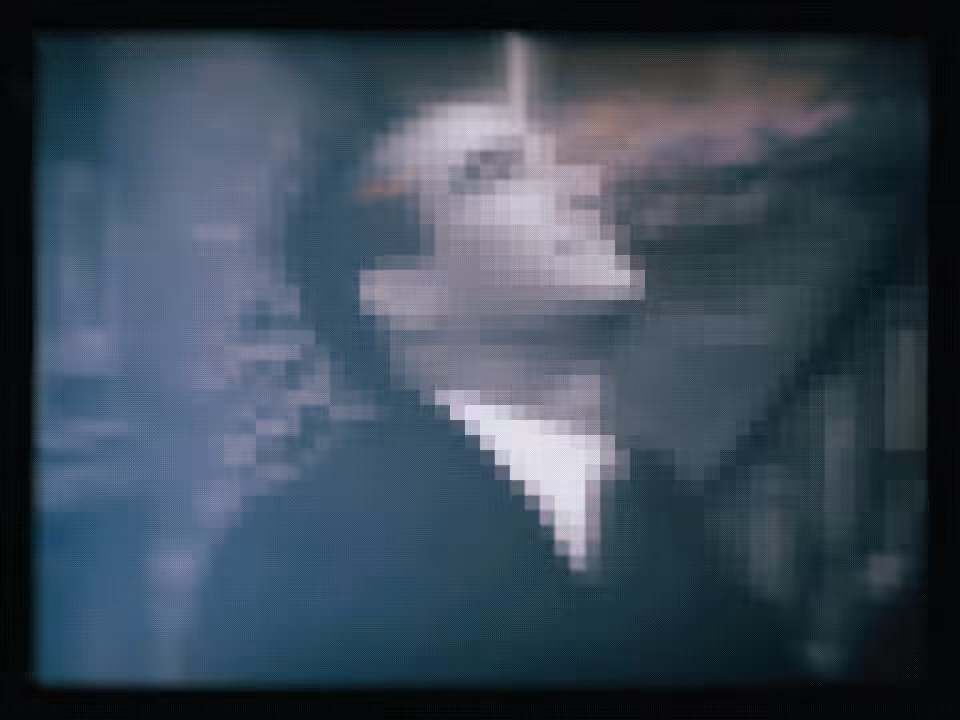 Krypto-Kiss