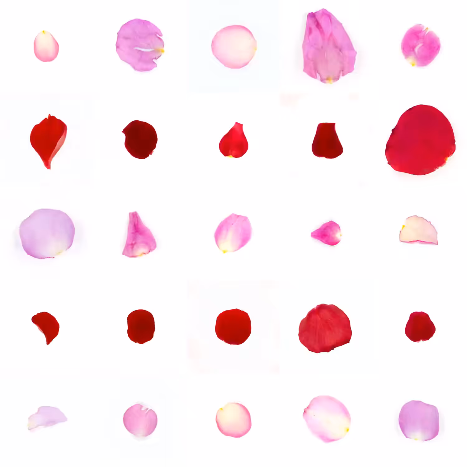 Infinite Petals 5x5#20424