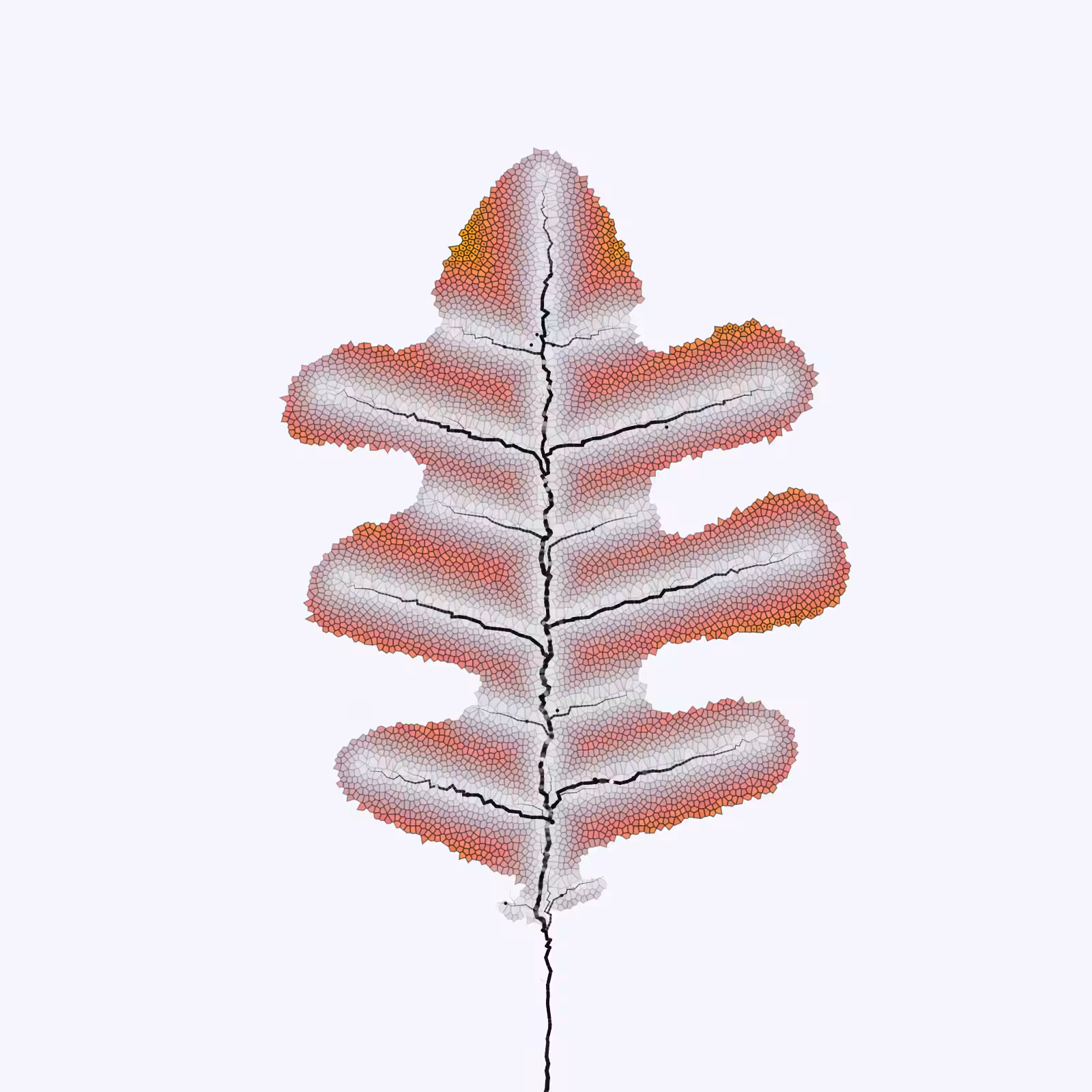 Leaf study #10