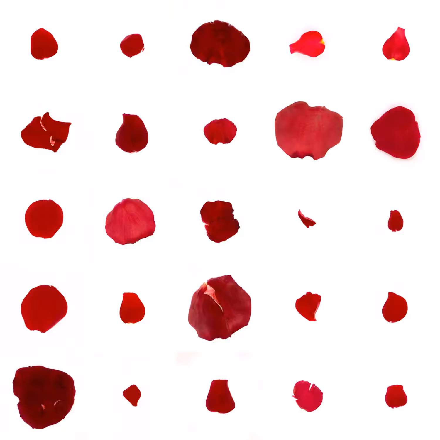 Infinite Petals 5x5#2952