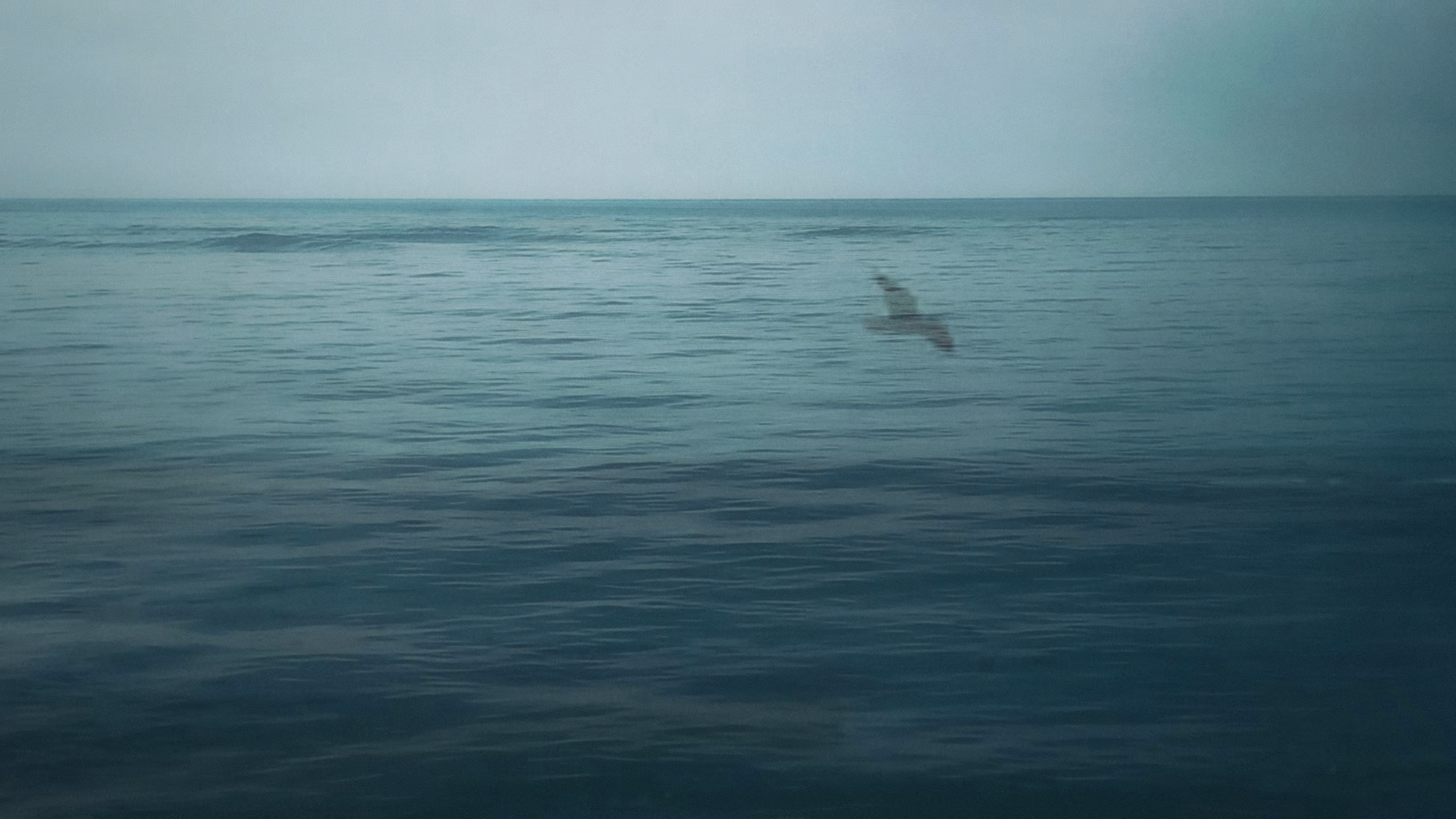 The overturned sea