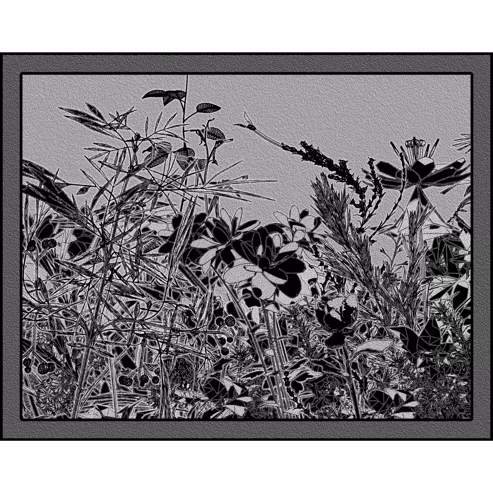 Flower View #300