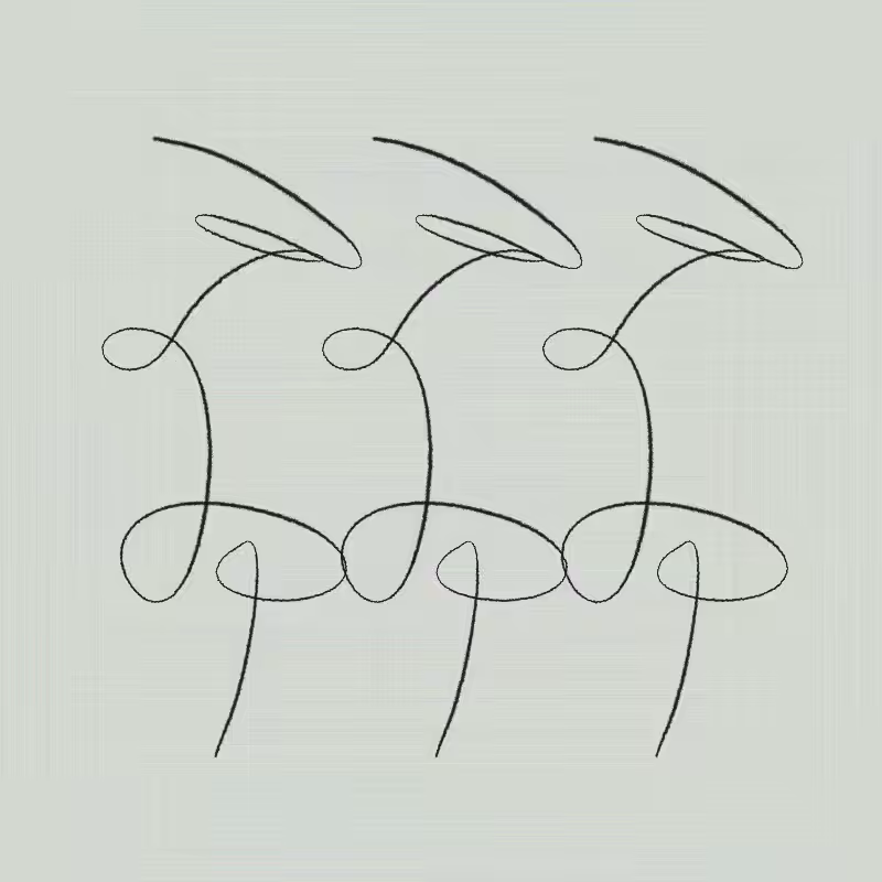 Signatures #6