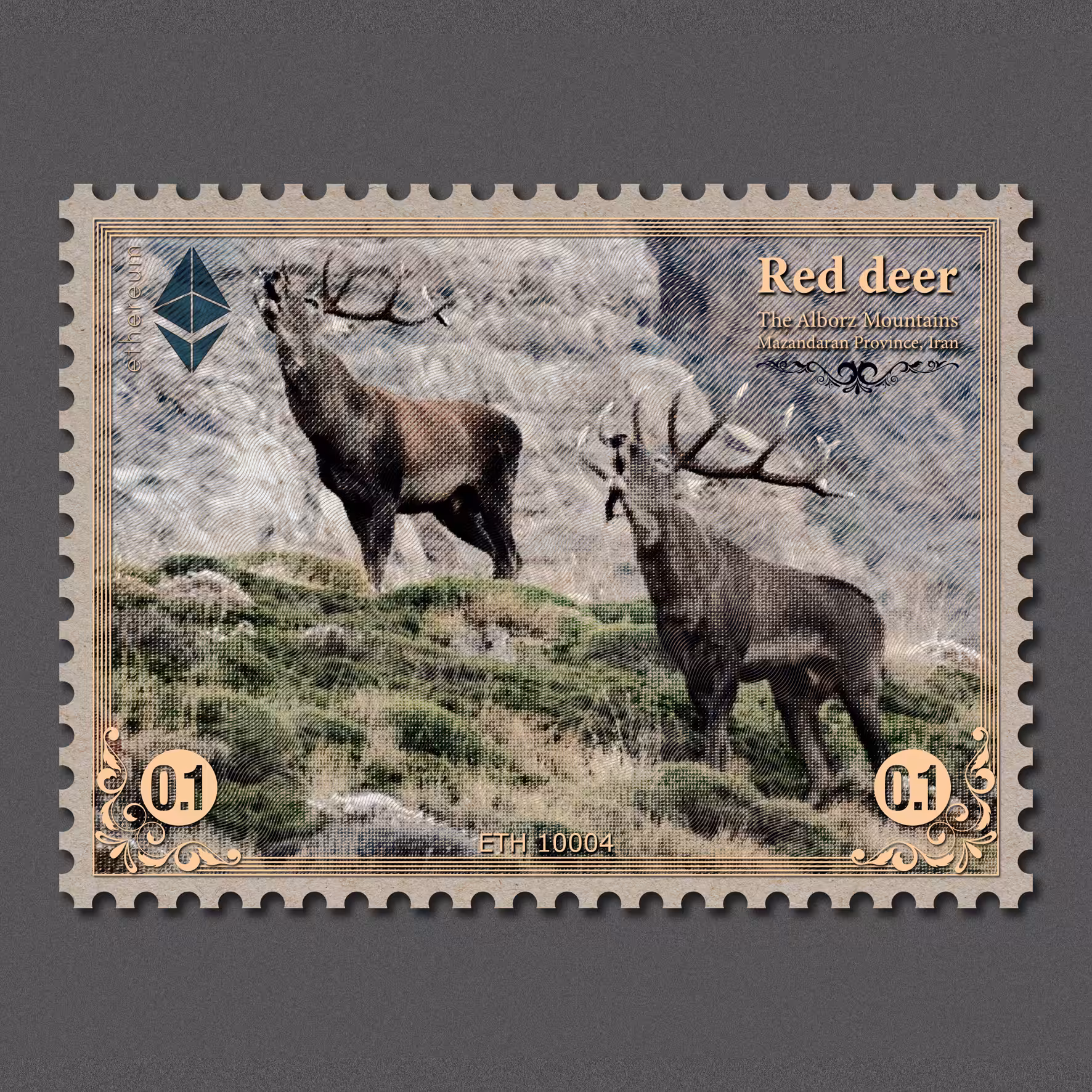 Red Deer
