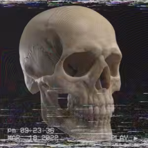 Glitched Skull #012