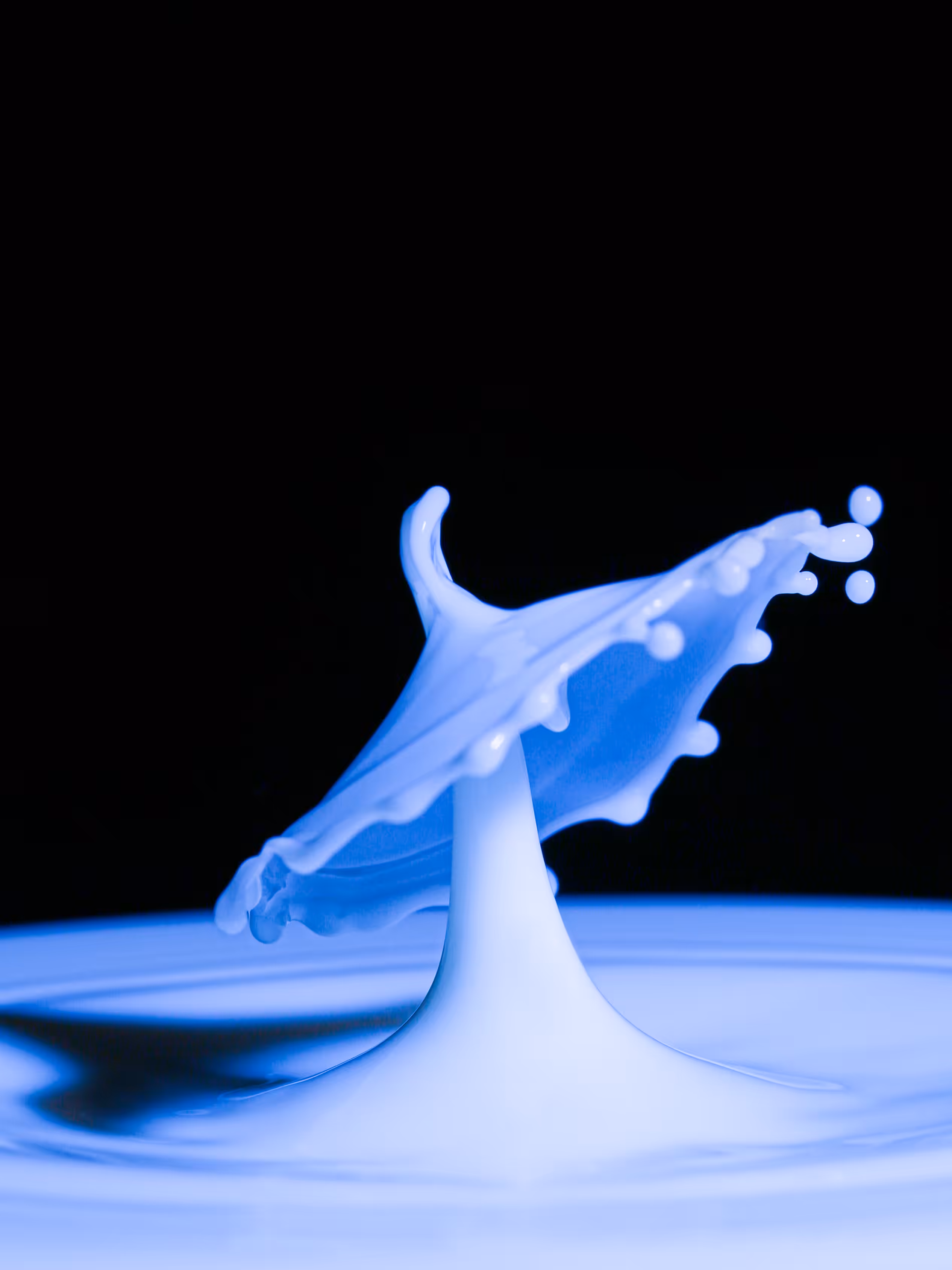 A Dash of Splash