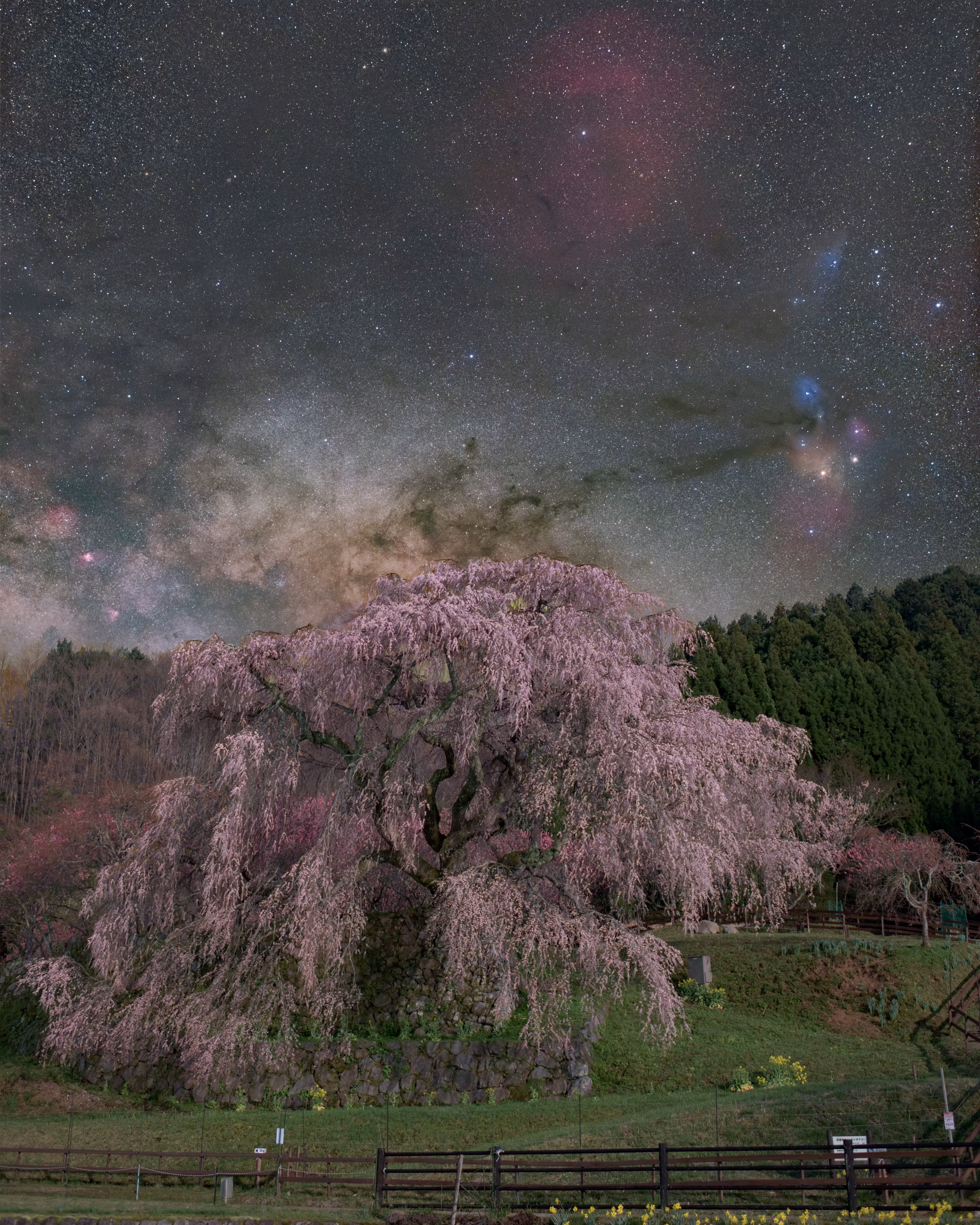 Harmony