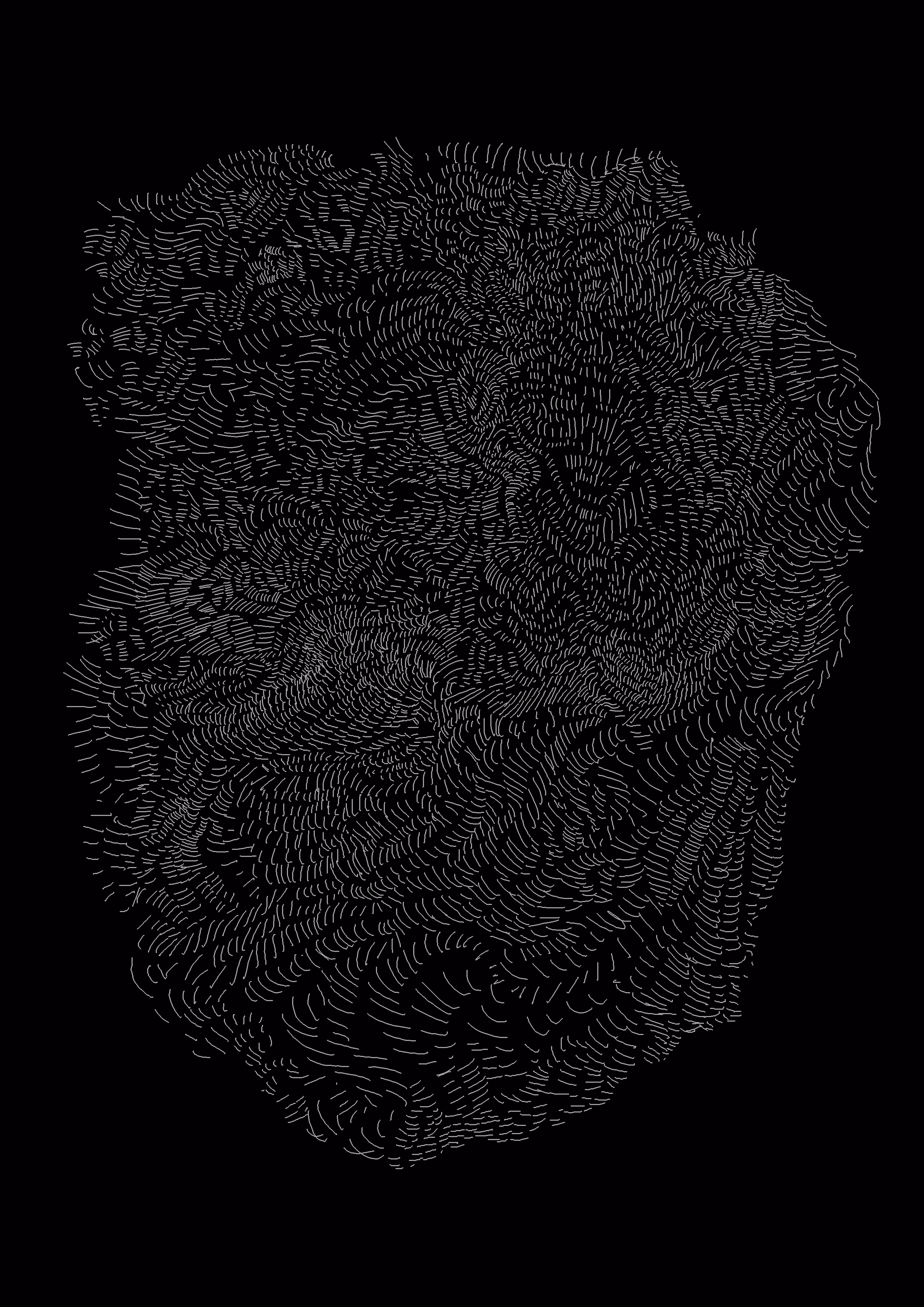 nest #03