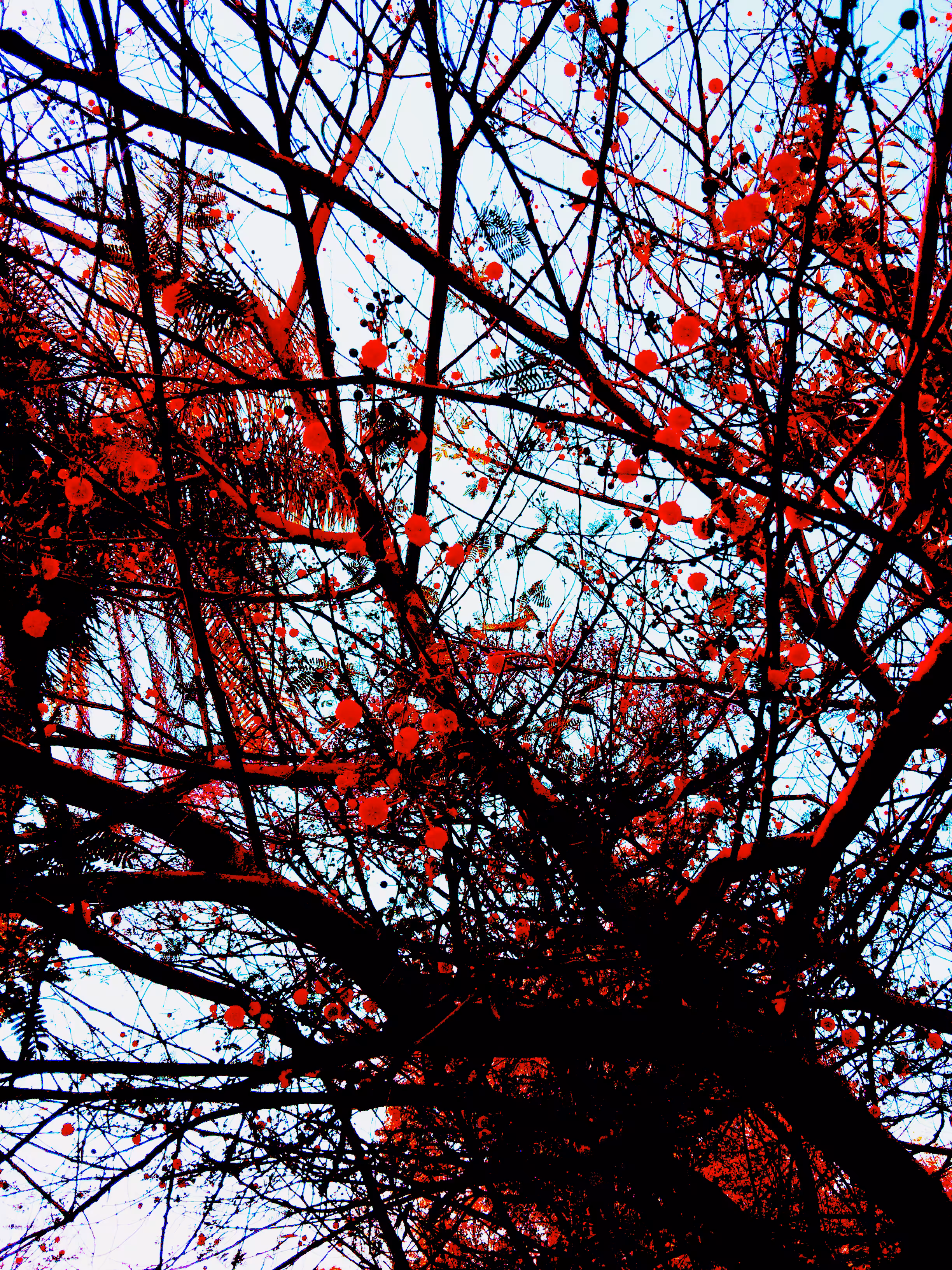 Splatter Tree