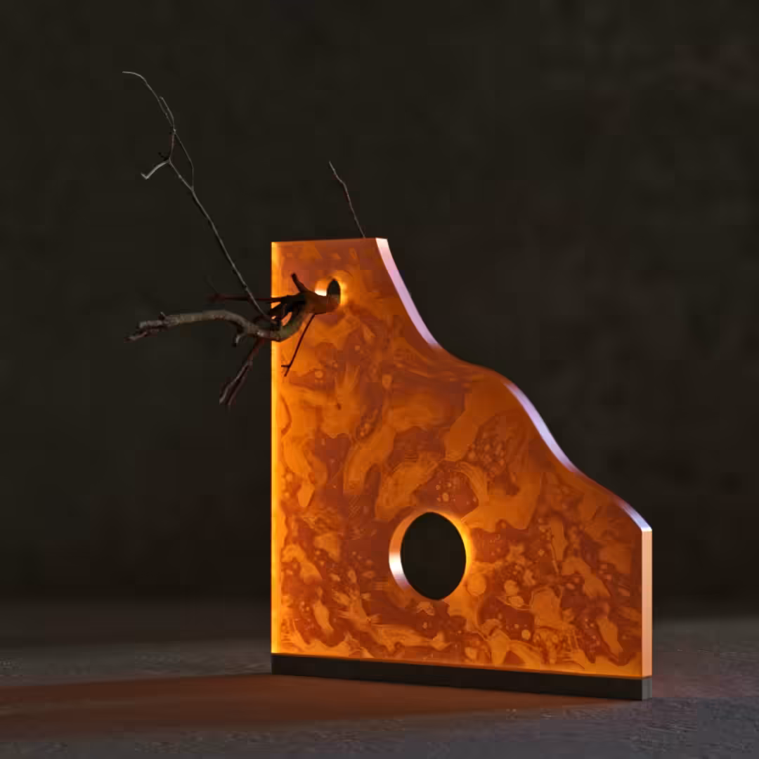 Amber Stone