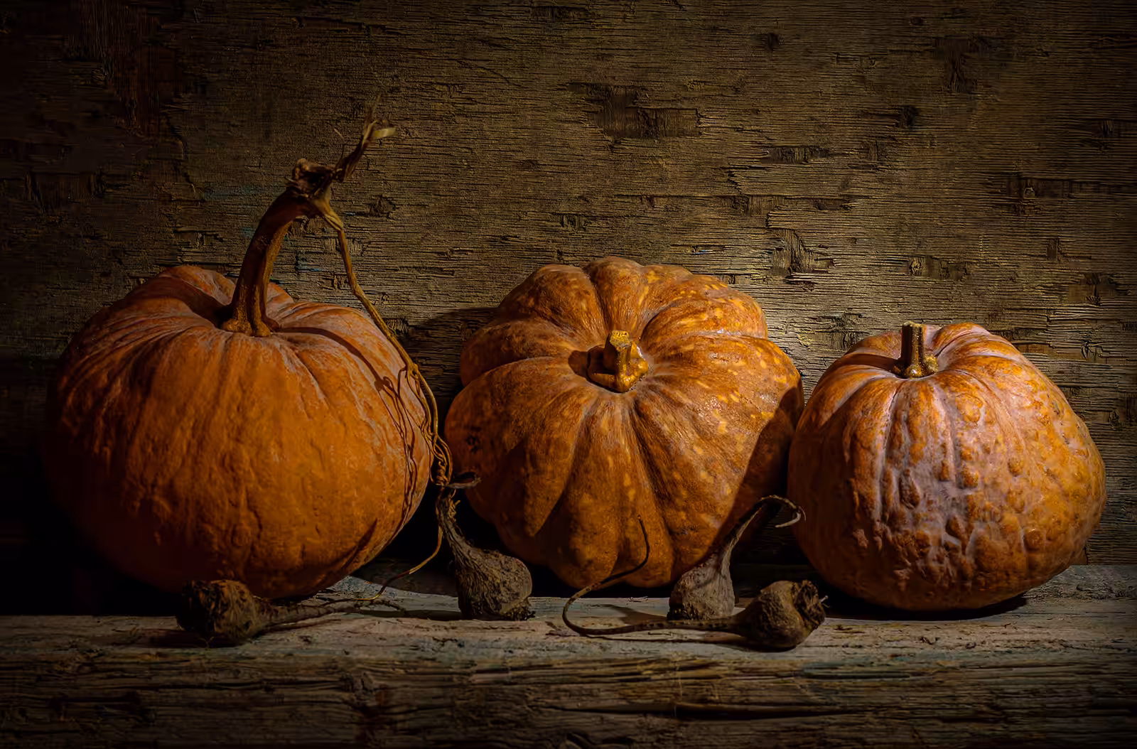 Ripe pumpkins