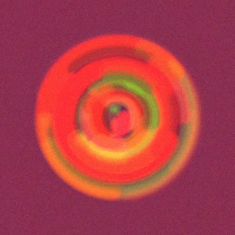 Wisp #976