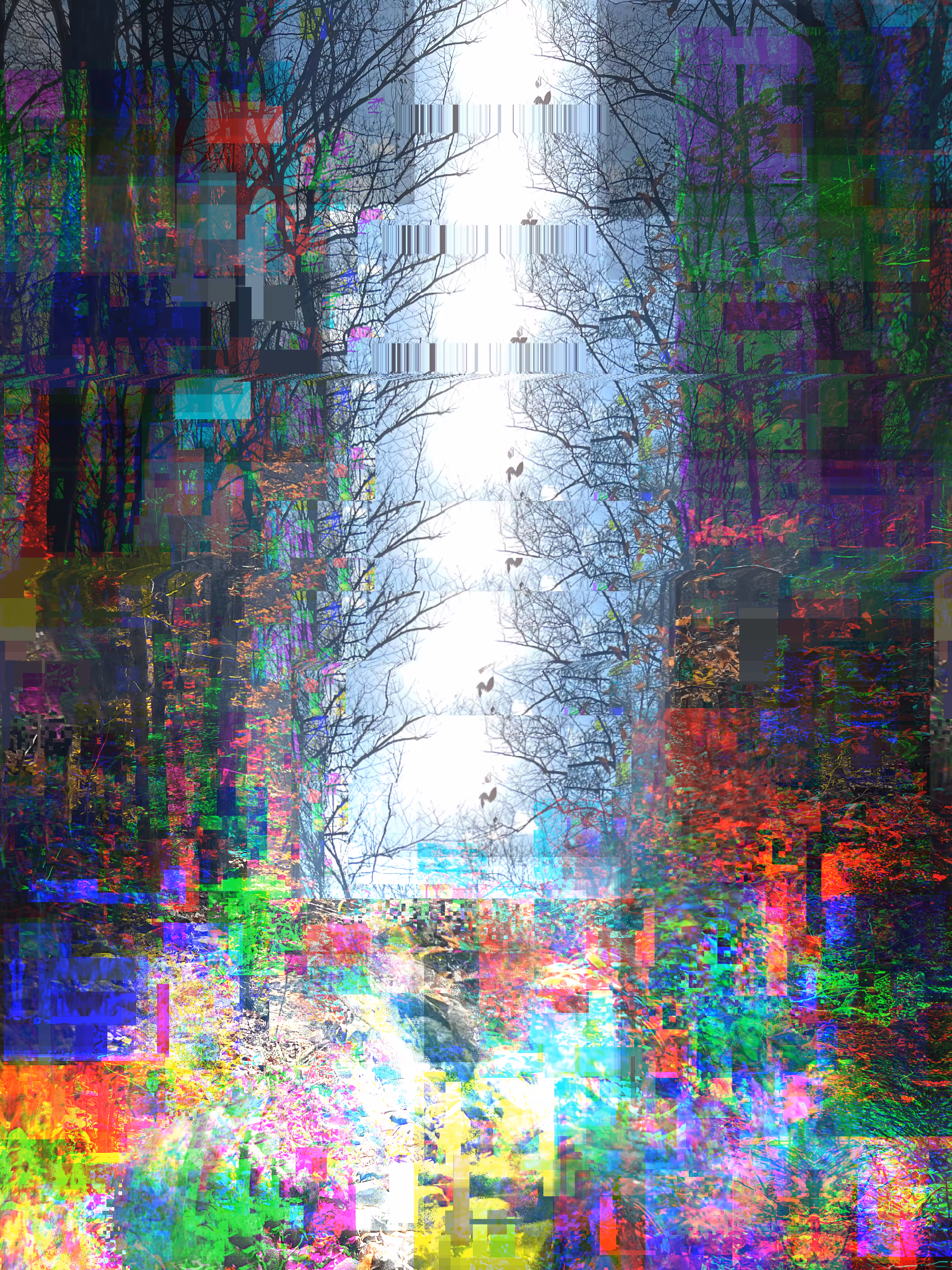 The Divine Glitch