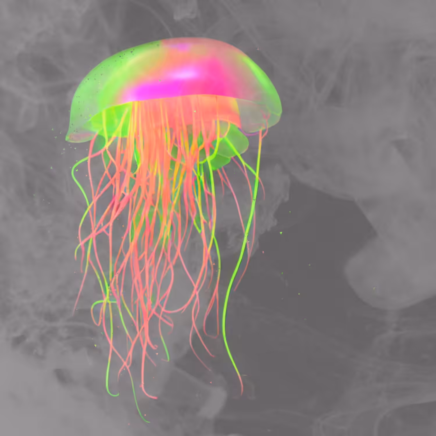 Meta-Nautilus || #1 jellyfish gentleness