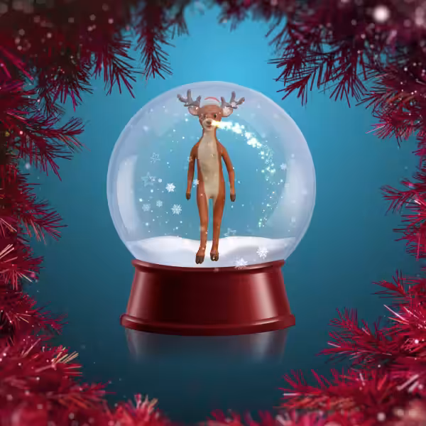 Christmas Globe #2nd