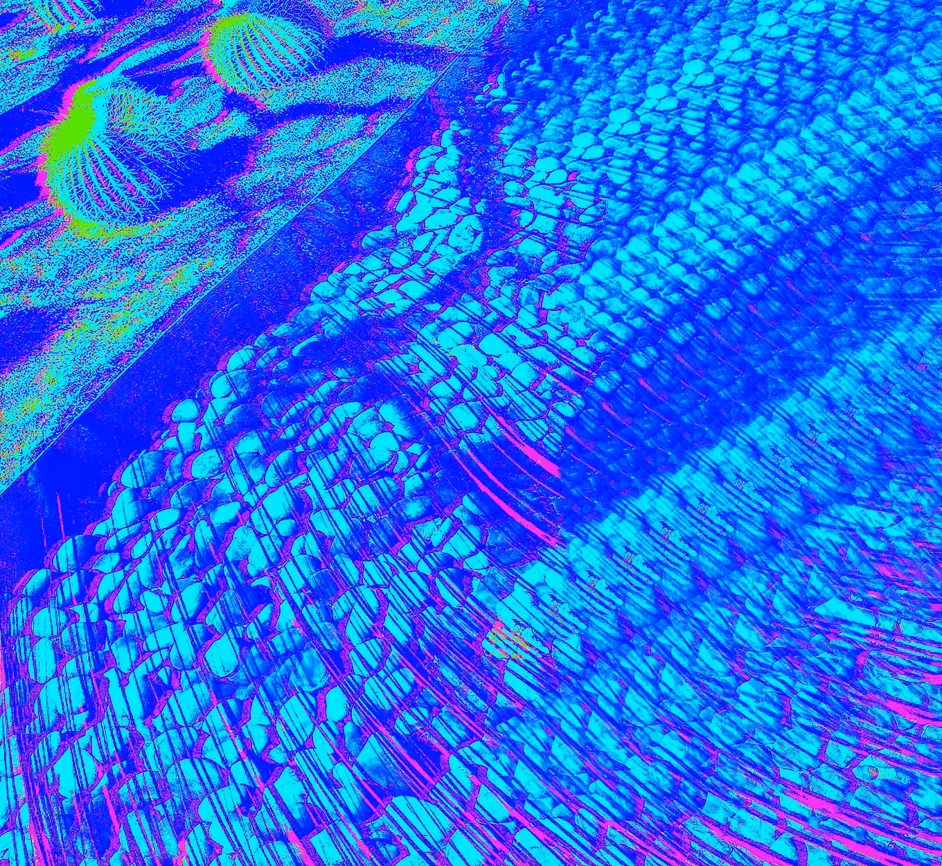 Blue Water with Purple Flashes
