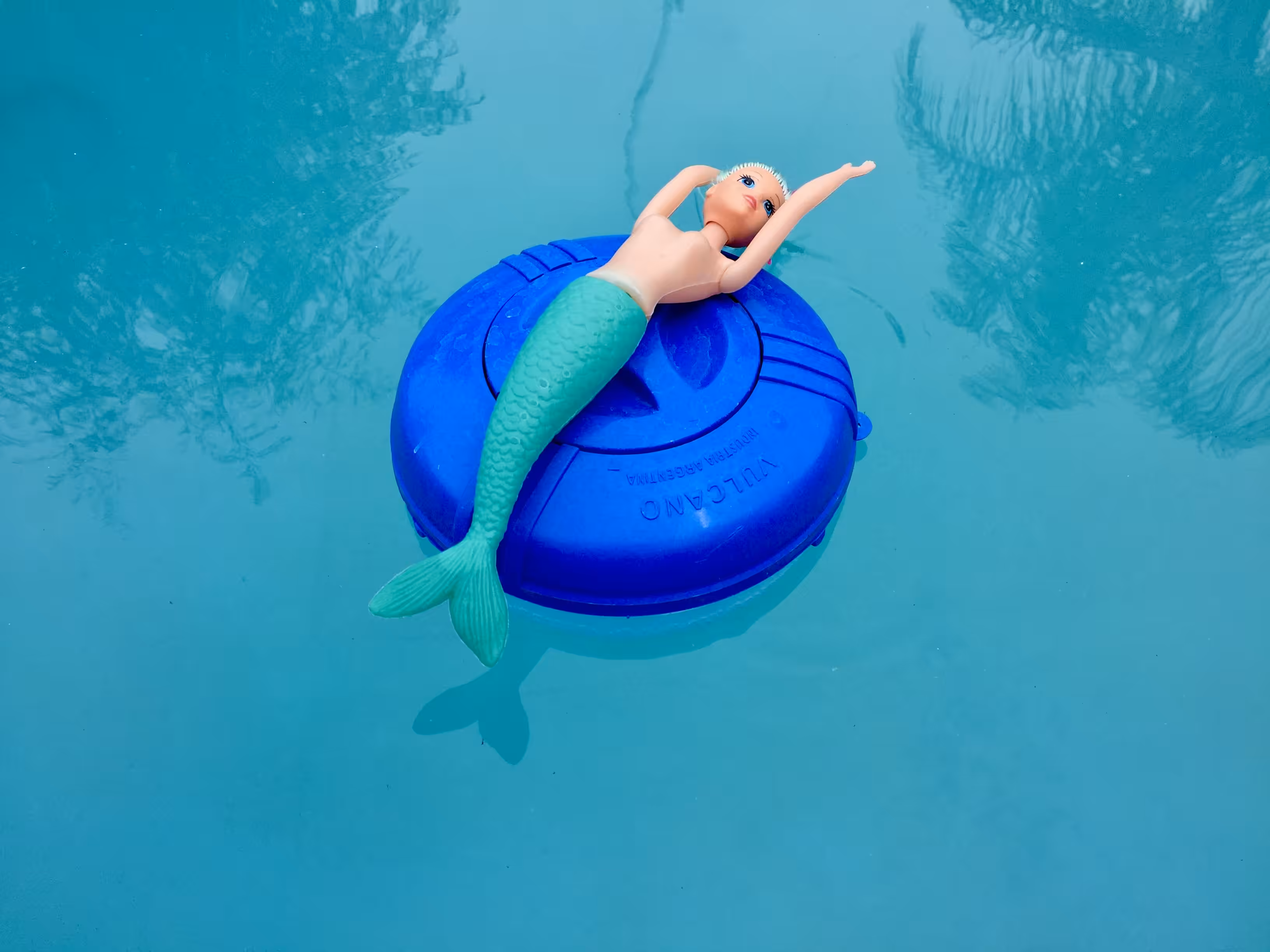 we are all fish