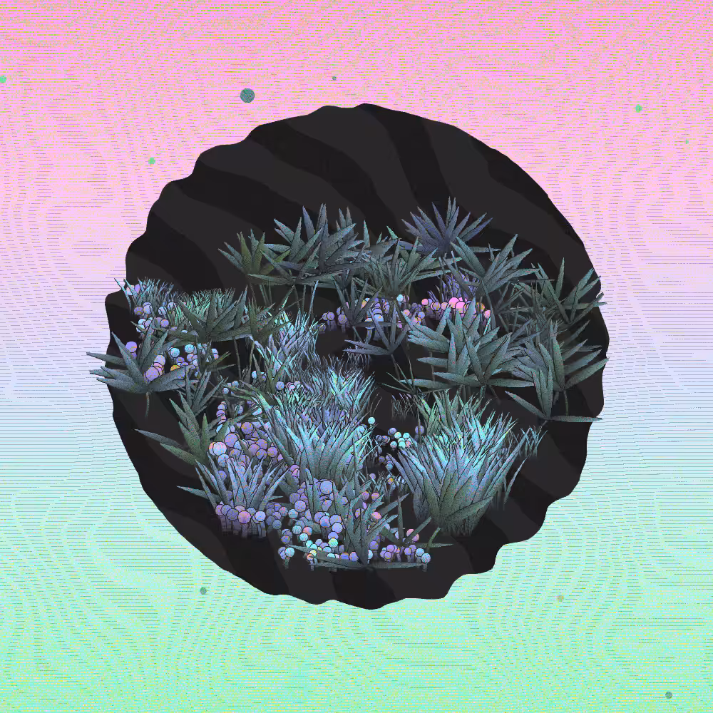 A Gift of Nature #17