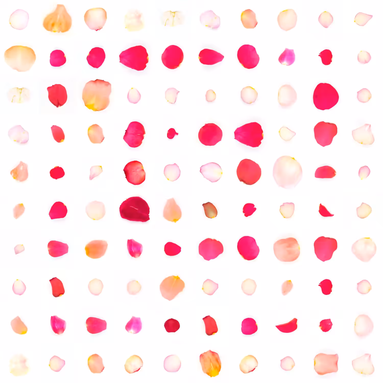 Infinite Petals 10x10#2720
