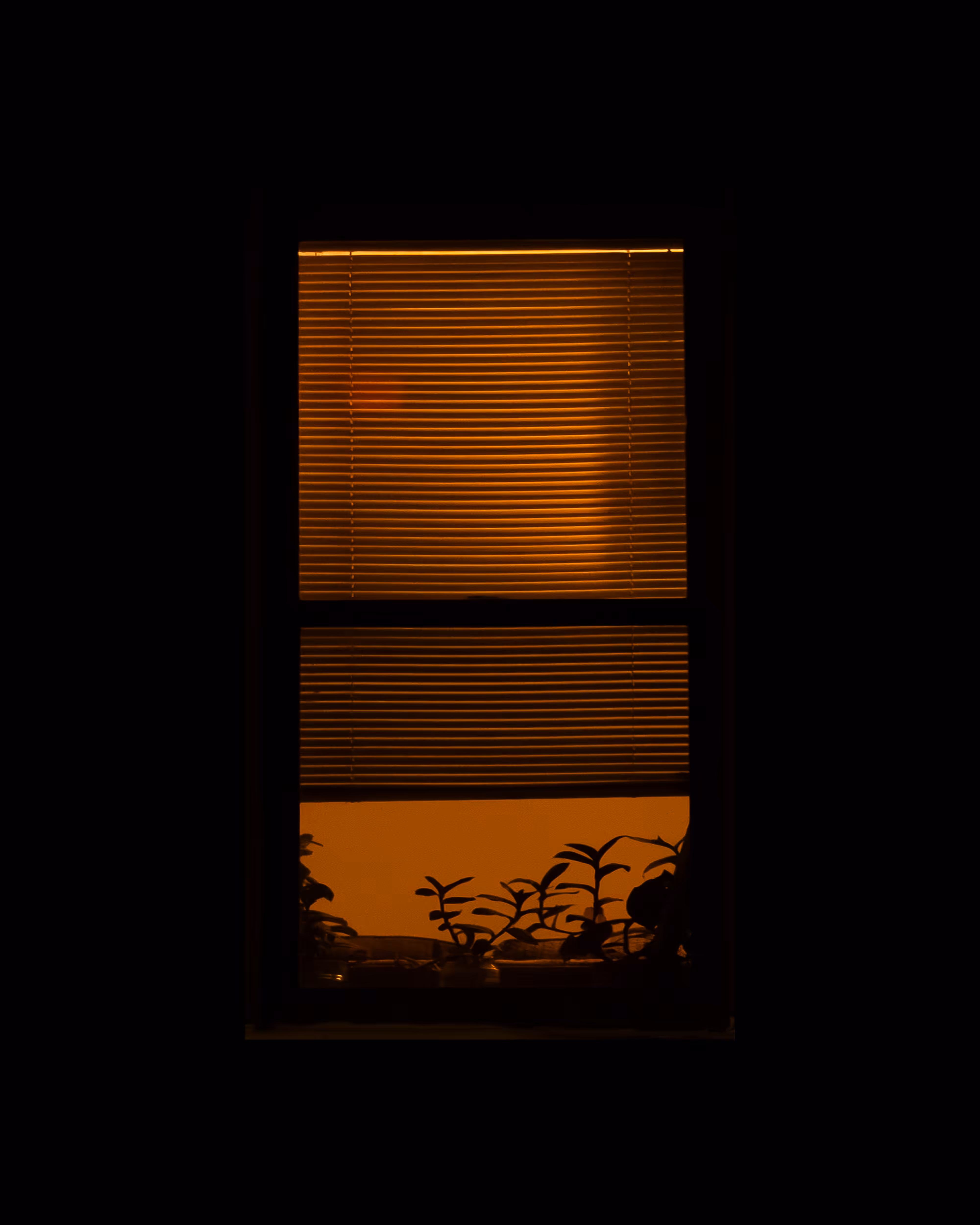 WINDOW 481