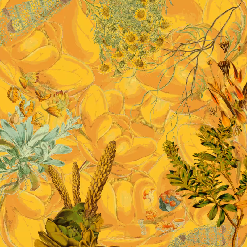 future flora from Antarctica's past #17
