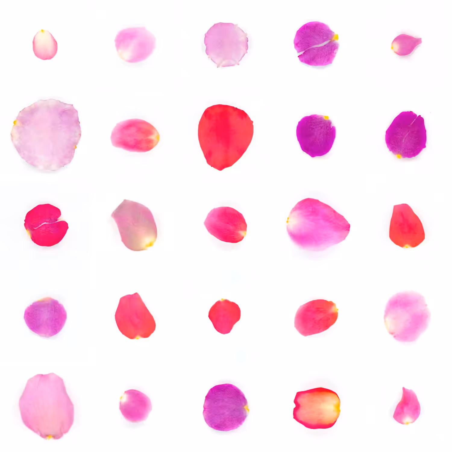 Infinite Petals 5x5#1517