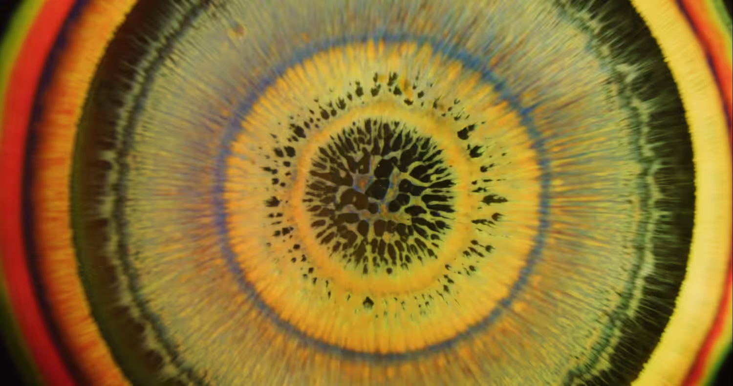 Fluid Mandala II