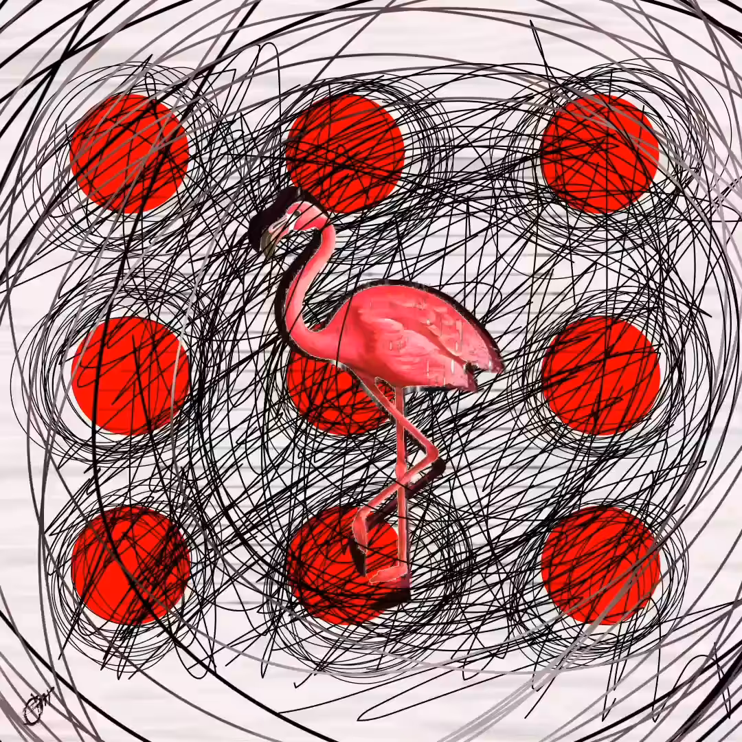The danger of extinction of flamingos