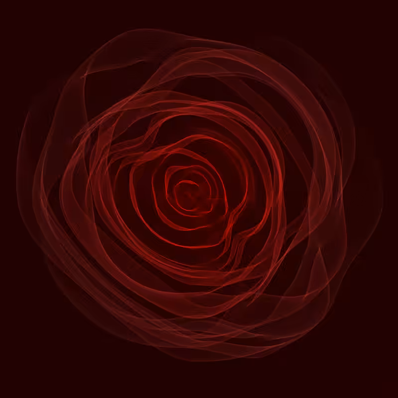 Roses #13