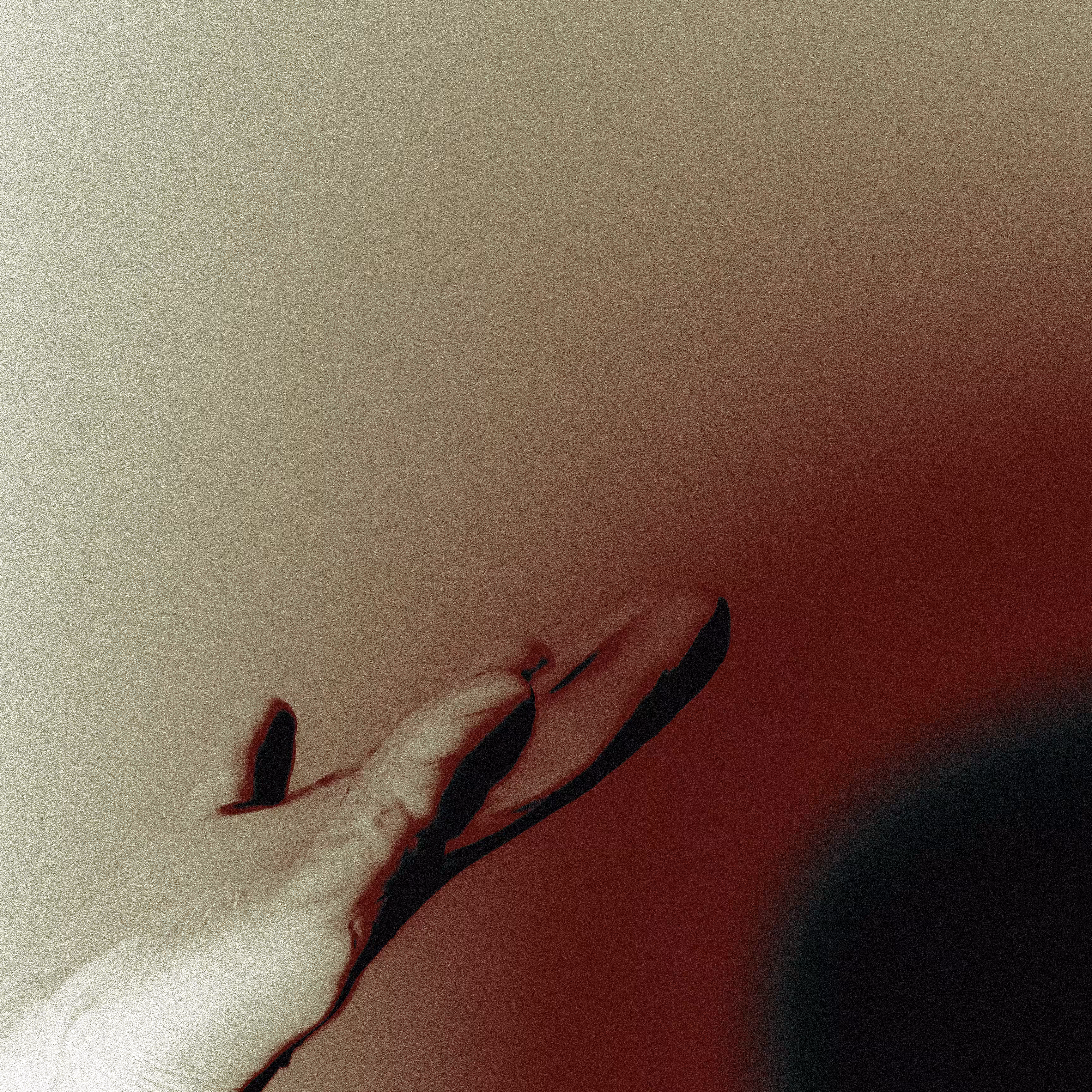 Red Hands