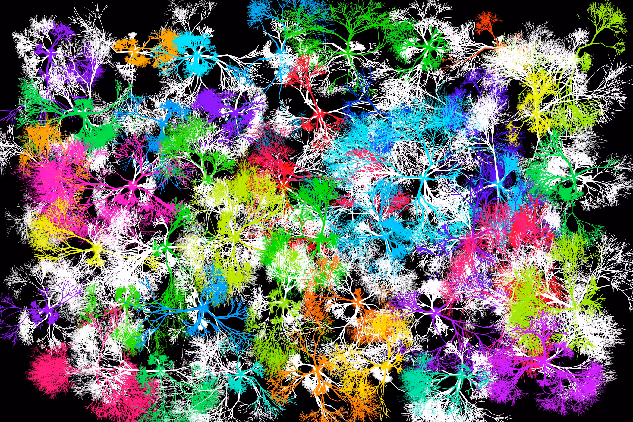 Phuz Tessellation #5