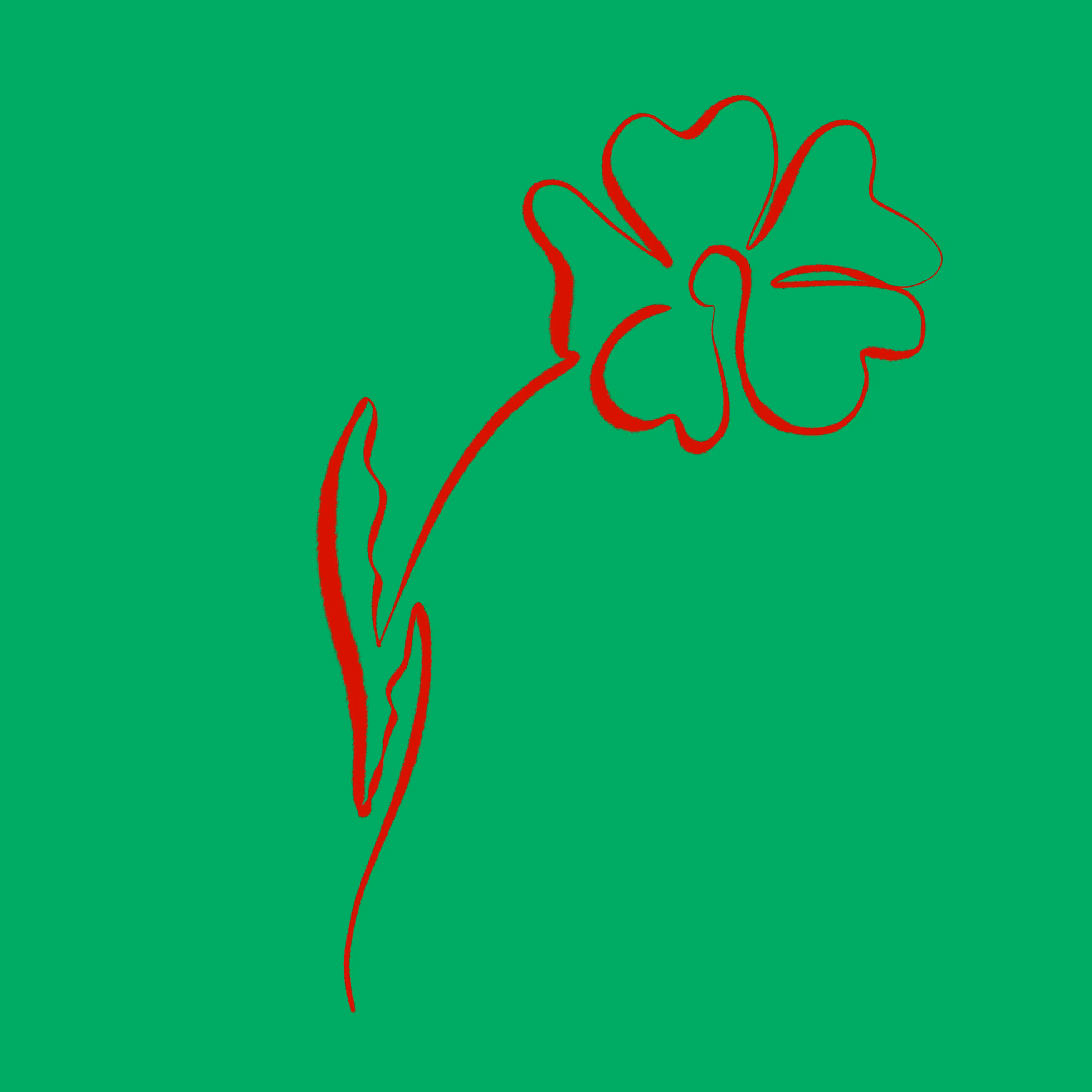 Poppy
