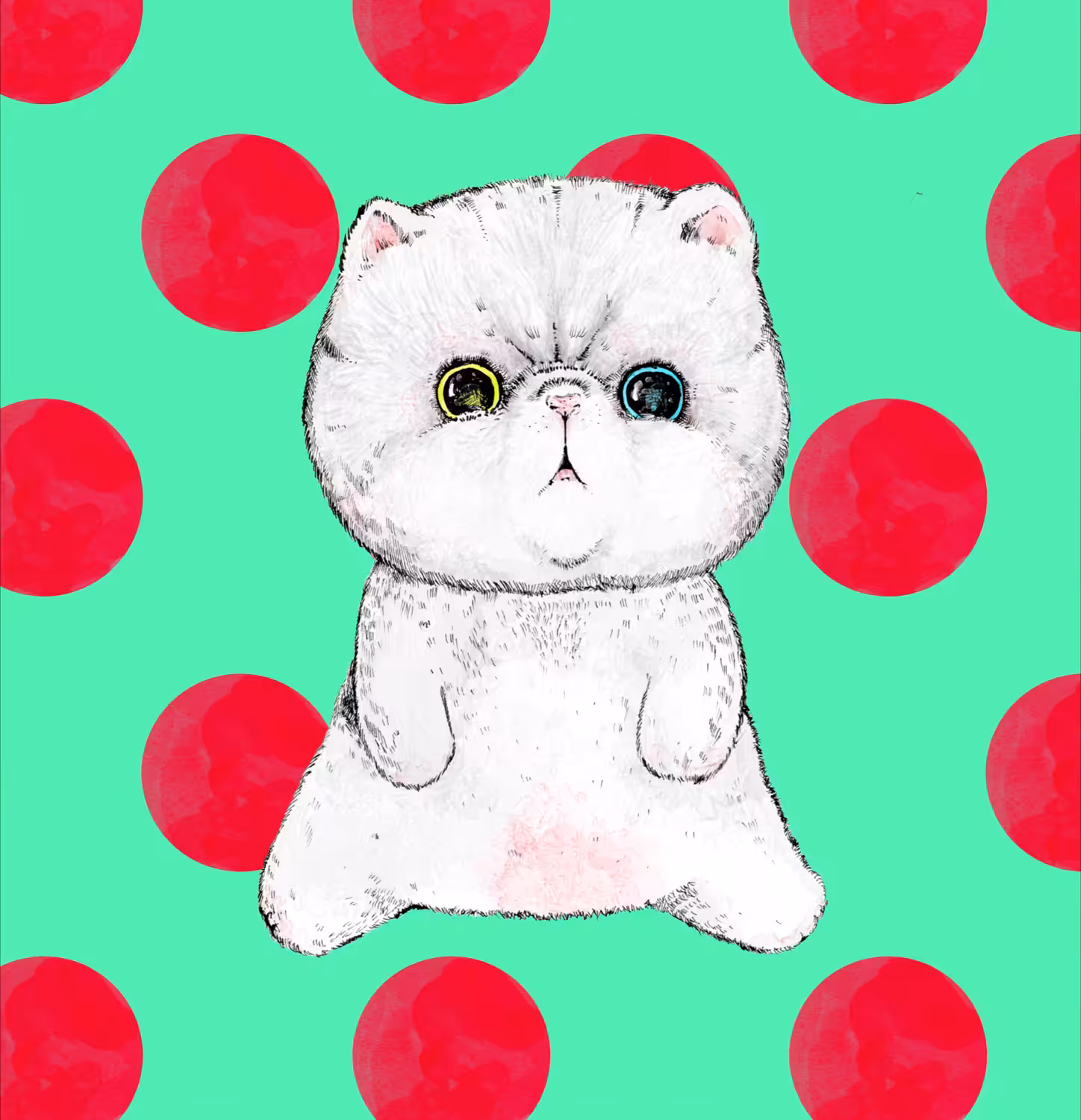 KITTEN#001