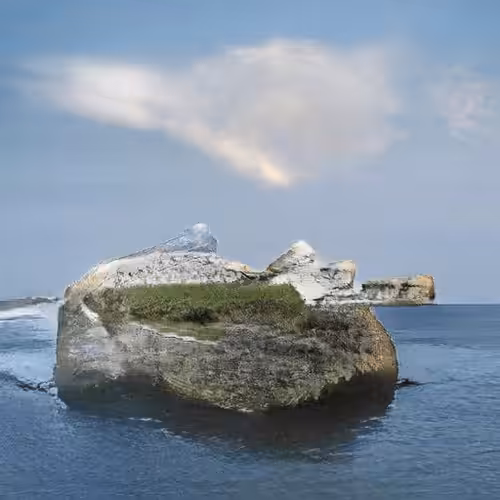 Founder Island #3
