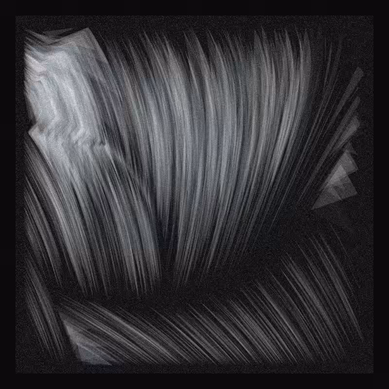 Velum #251